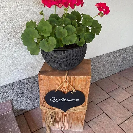 Daire Julia, Finkenberg